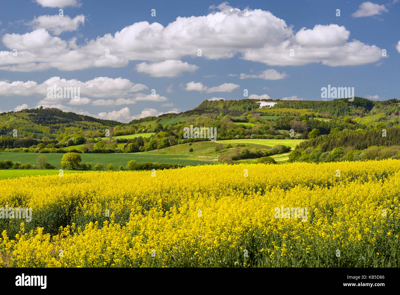 The White Horse of Kilburn, The North Yorkshire Moors, Yorkshire
