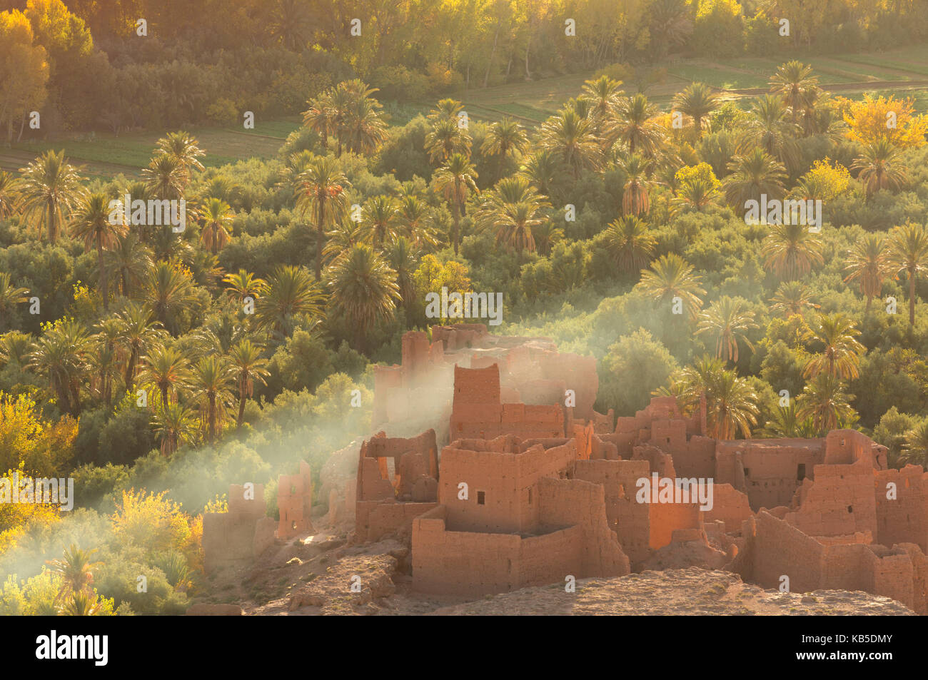 Ruined kasbah in the palmerie near Tinerhir, with smoke from fire swirling through the palm trees, Morocco, North Africa, Africa Stock Photo