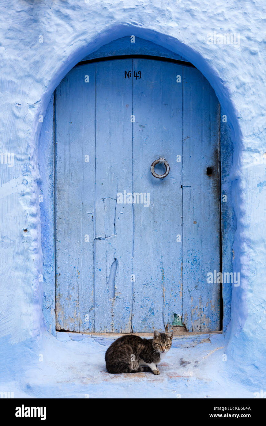 Blue door and wall in the old town of Chefchaouen (Chaouen) (The Blue City), Morocco, North Africa, Africa Stock Photo