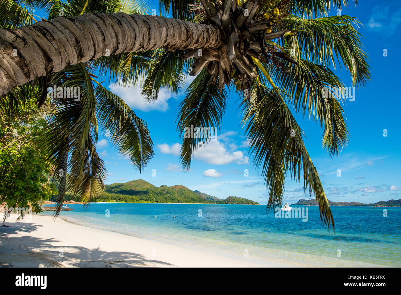 Anse Government beach, Praslin, Republic of Seychelles, Indian Ocean, Africa Stock Photo
