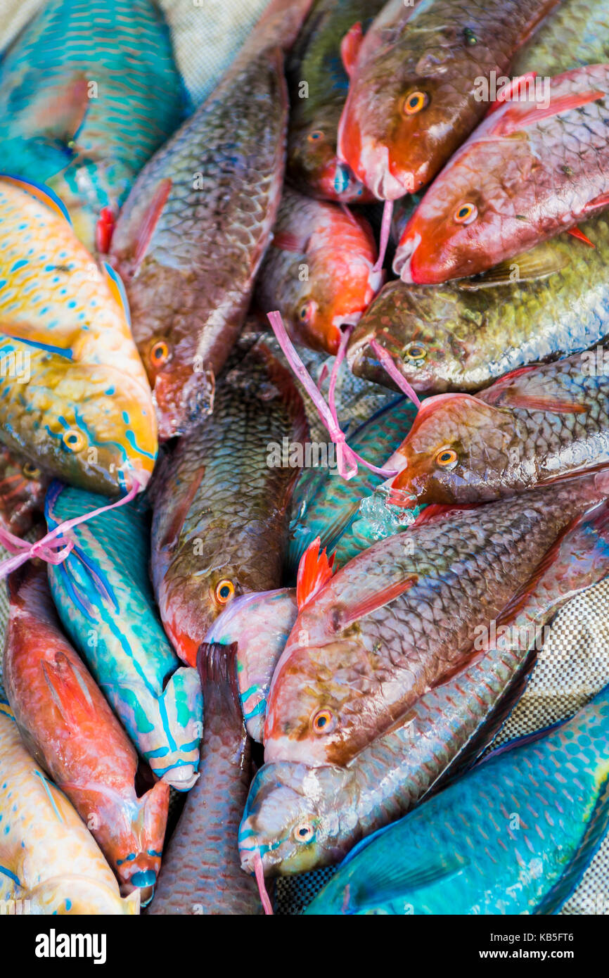 Local fish market, Praslin, Republic of Seychelles, Indian Ocean, Africa Stock Photo