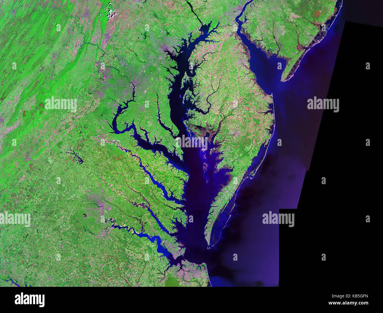 CHESAPEAKE BAY estuary between Maryland and Virginia with Delaware Bay top right in 2000. Photo: Landsat NASA Stock Photo