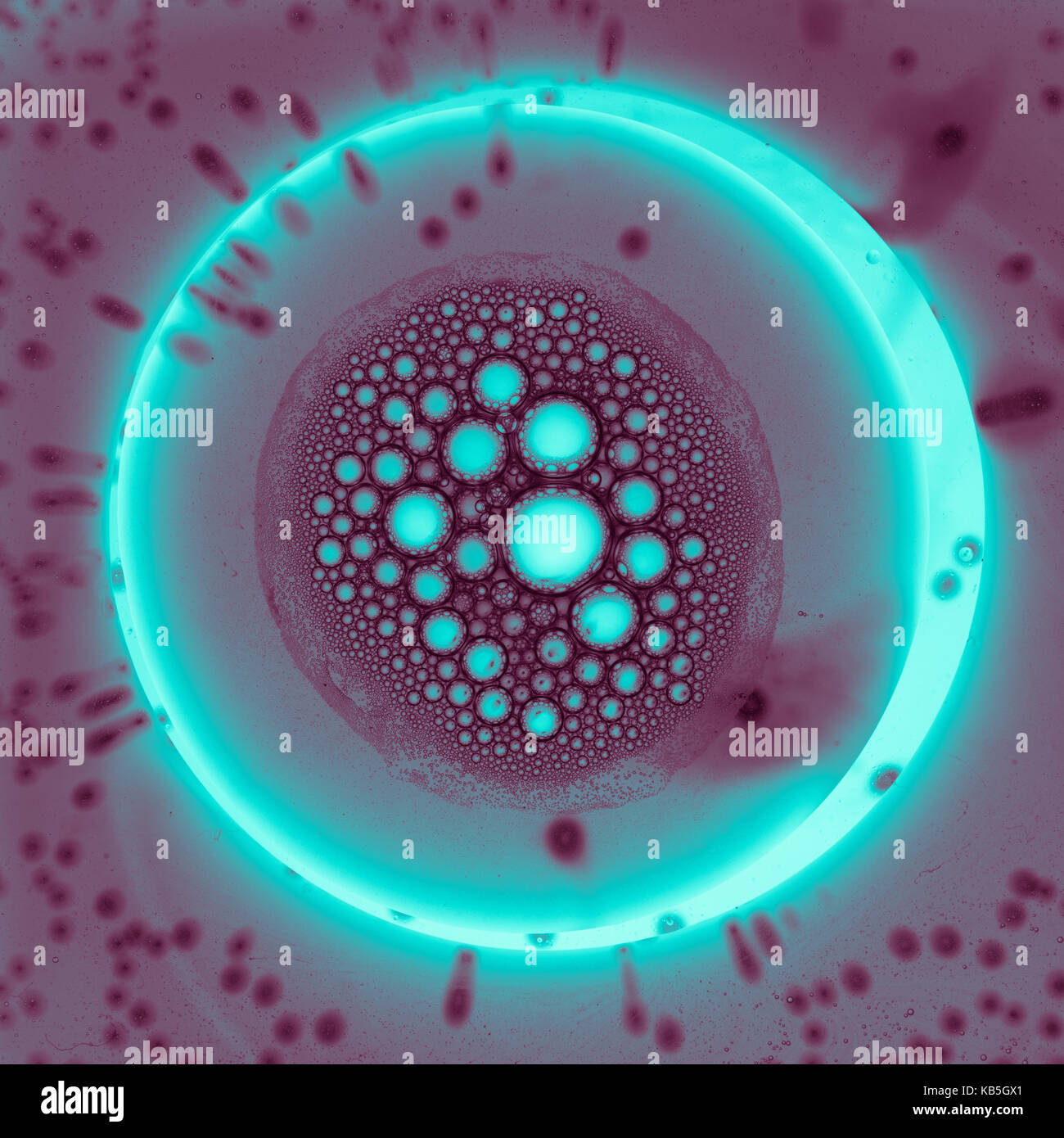 microscopic organism made from oil and water Stock Photo