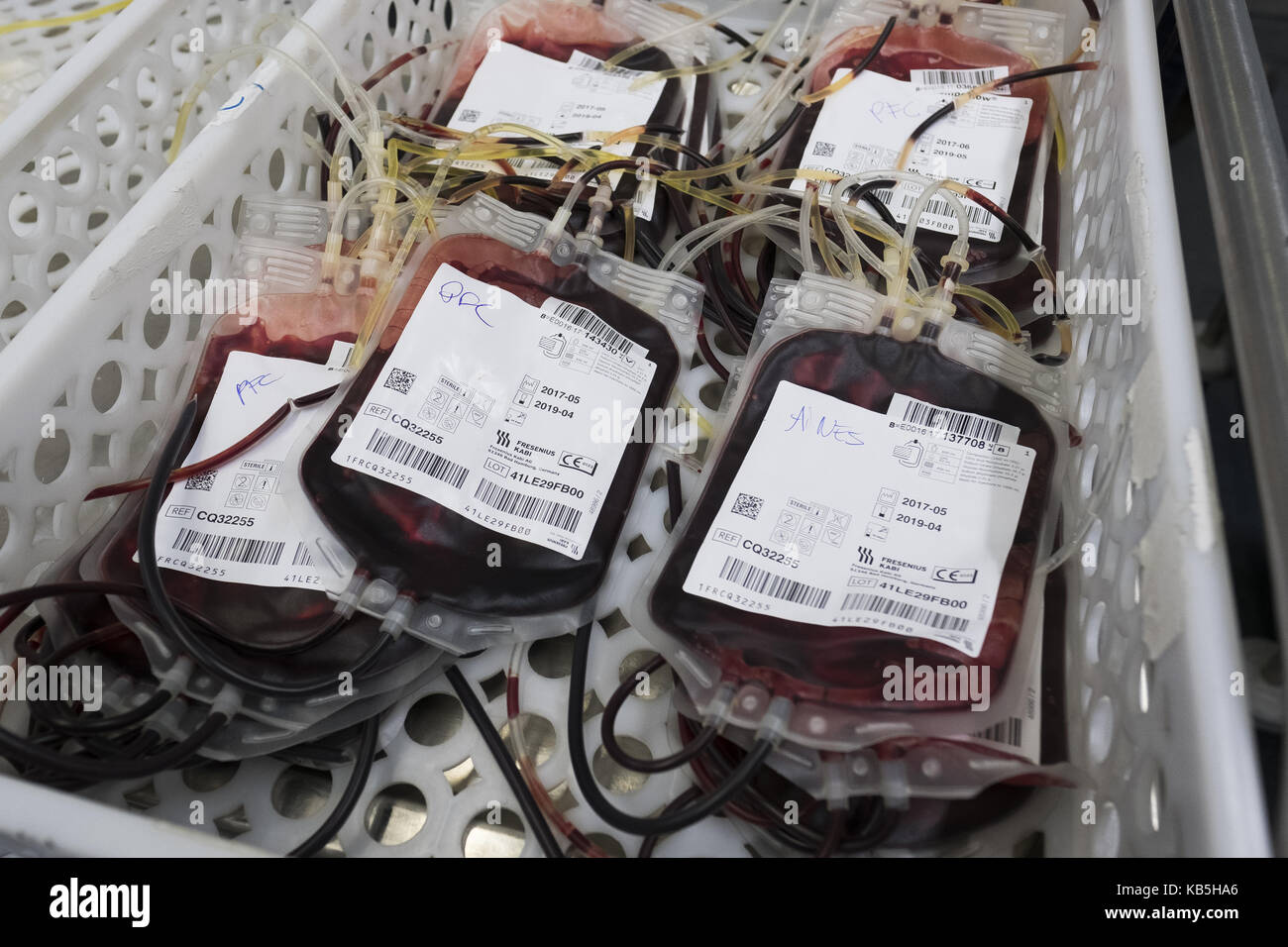 Blood Transfusion Center Of Madrid The Center Is Developing The