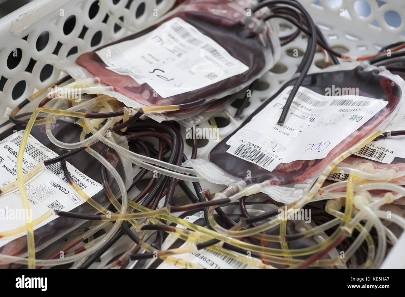 Blood Transfusion Center Of Madrid The Center Is Developing The