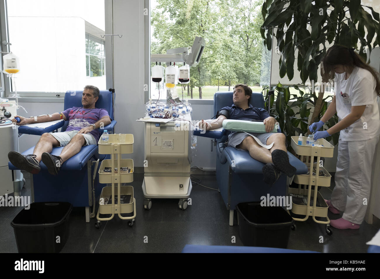Blood Transfusion Center Of Madrid The Center Is Developing The