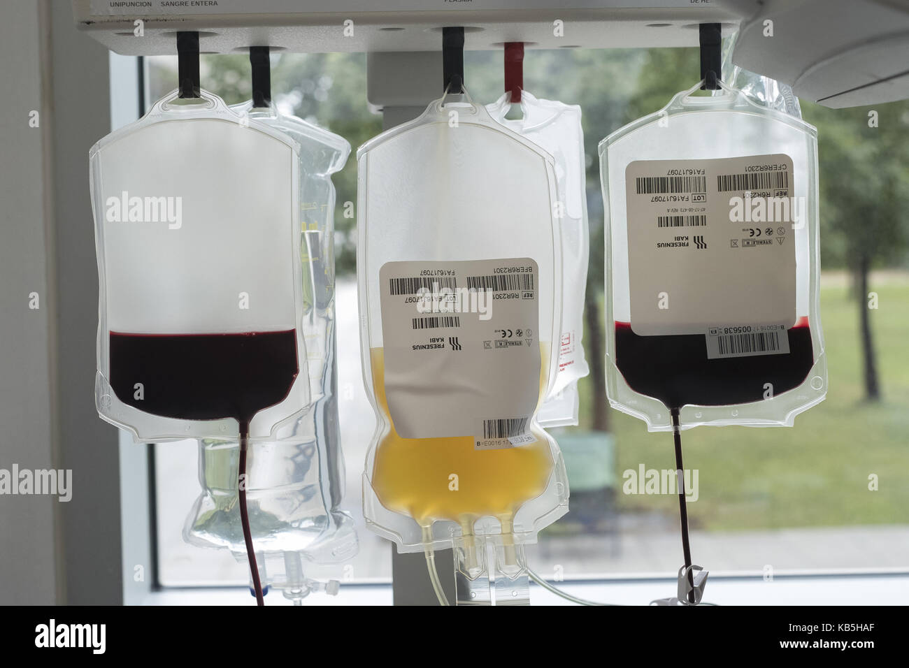 Blood Transfusion Center Of Madrid The Center Is Developing The