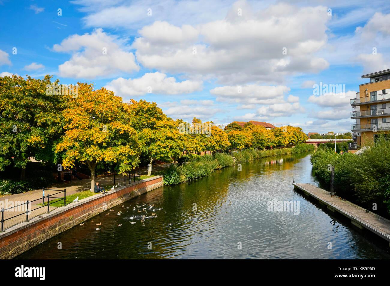 Taunton, Somerset, UK. 28th September 2017. UK Weather. Golden autumn