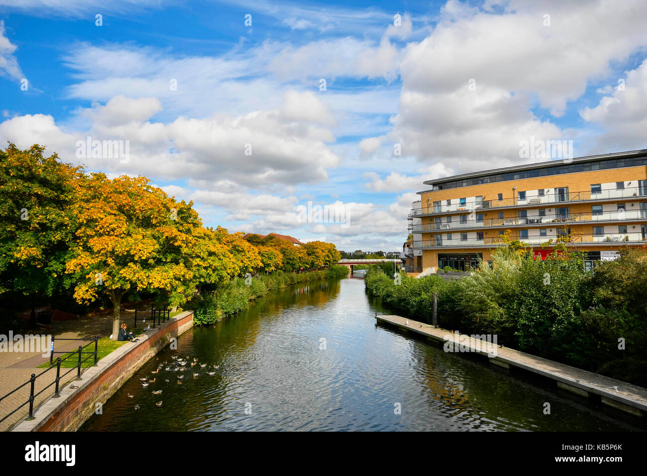Taunton, Somerset, UK. 28th September 2017. UK Weather. Golden autumn