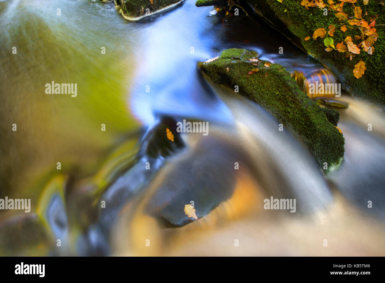The colours of early Autumn are reflected in the water of a stream in the Derbyshire Peak District National Park Credit: shoults/Alamy Live News Stock Photo