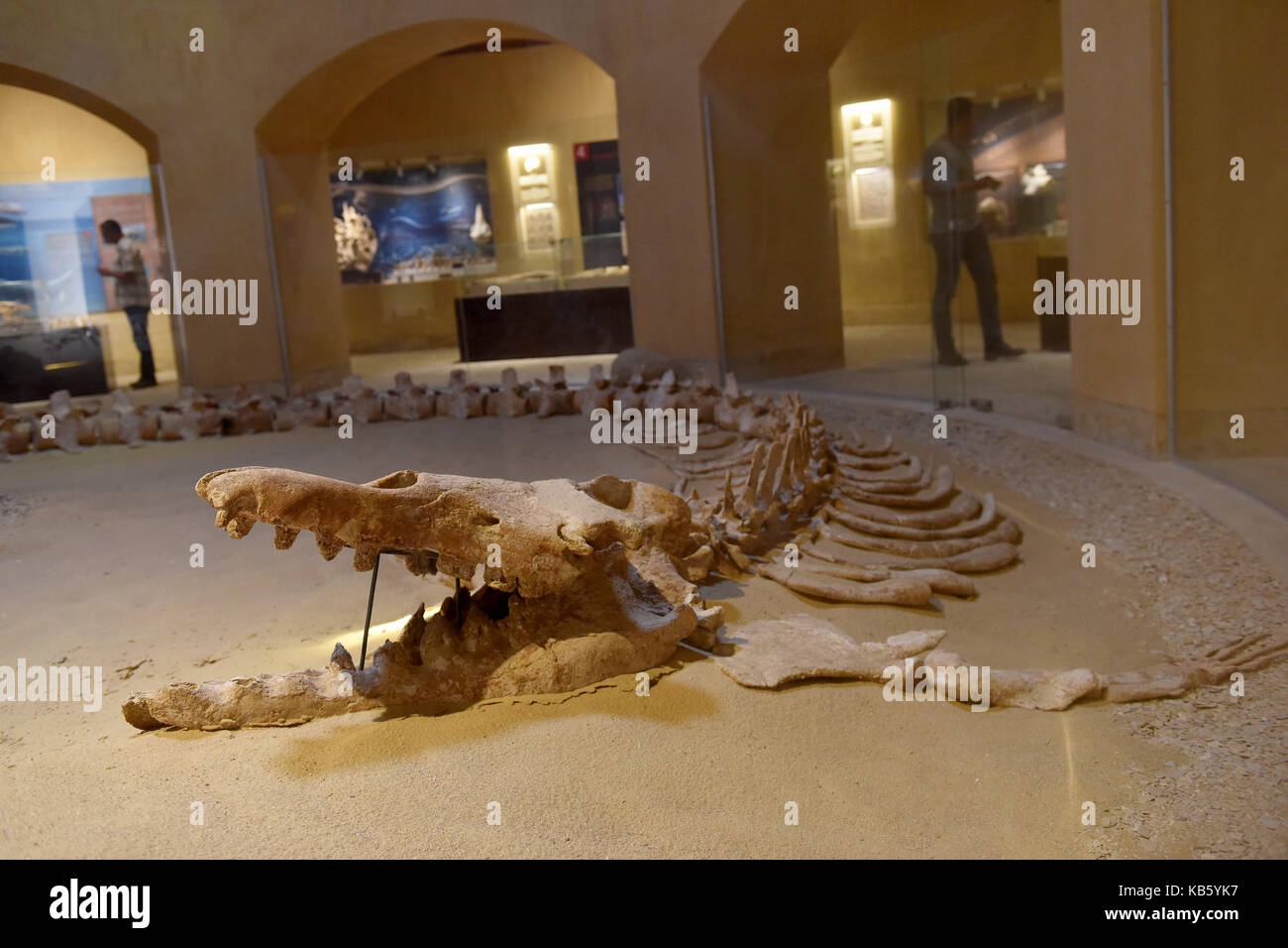 Cairo, Egypt. 27th Sep, 2017. Whale fossils are seen in Wadi AlHitan