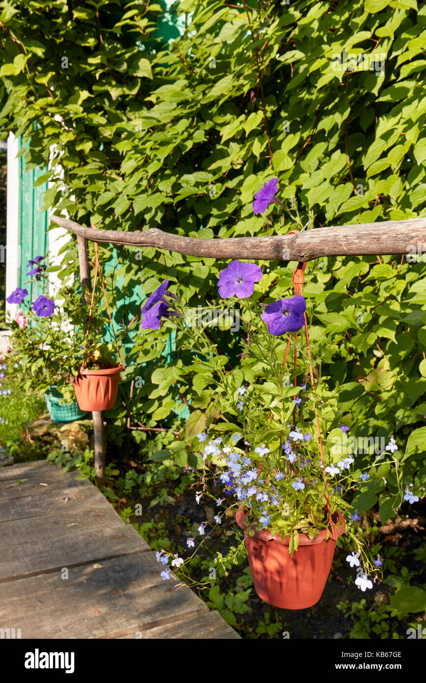 Dacha garden at summer. Kaluga Region, Russia. Stock Photo