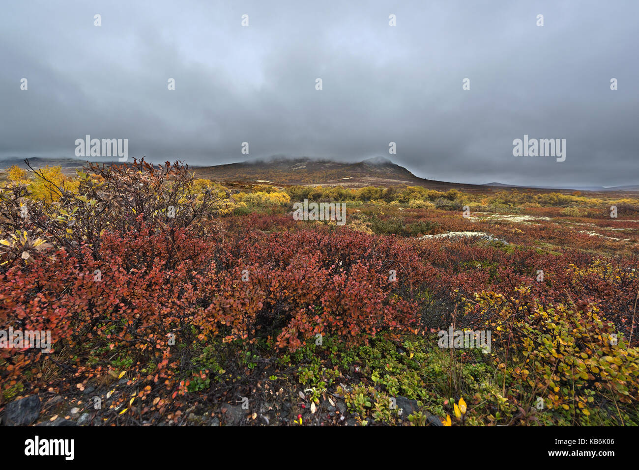 Norwegian tundra Stock Photo - Alamy