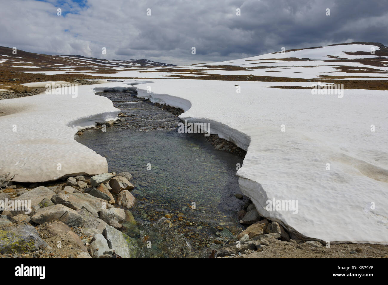 Just at the Norwegian-Swedish border we find the Borgafjäll in Sweden at the end of june, snow is melting, Sweden, Lappland, Borgafjäll Stock Photo