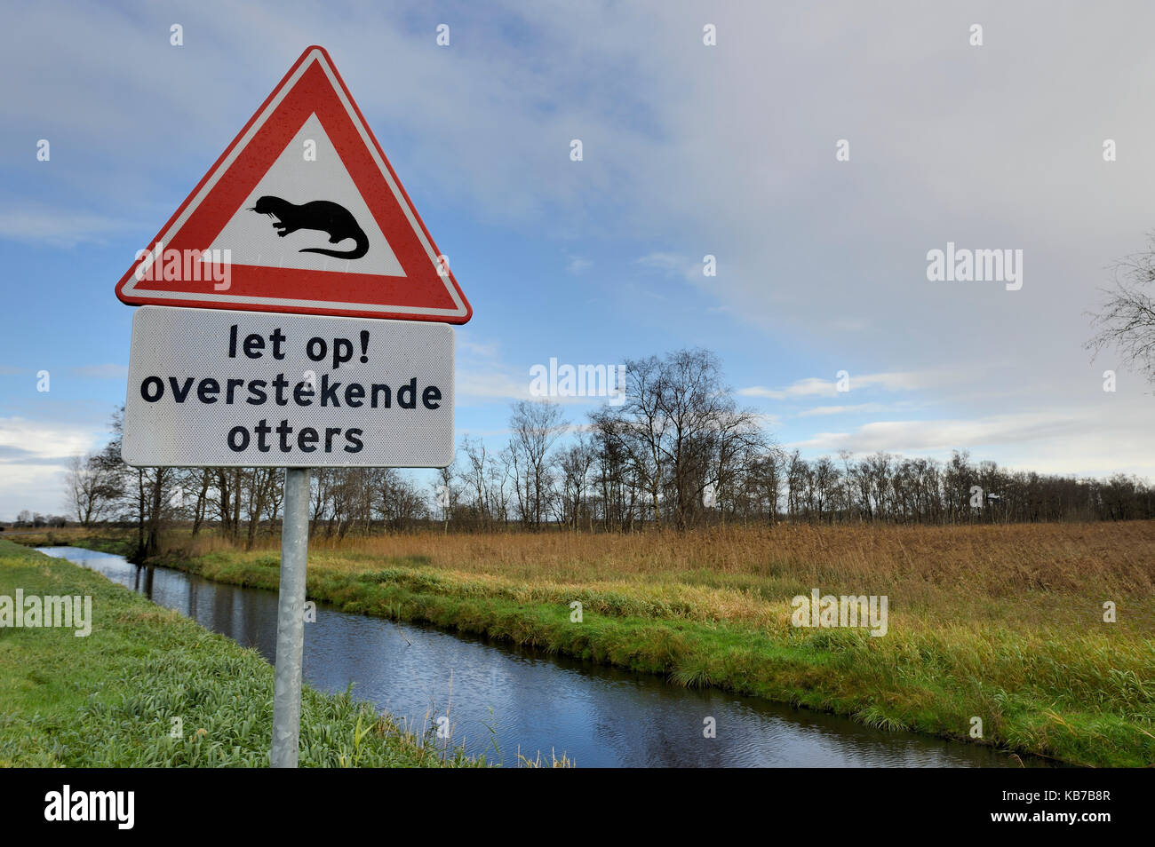 Traffic sign in the Rottige Meenthe warning for crossing Otters, The Netherlands, Friesland, Rottige Meenthe Stock Photo