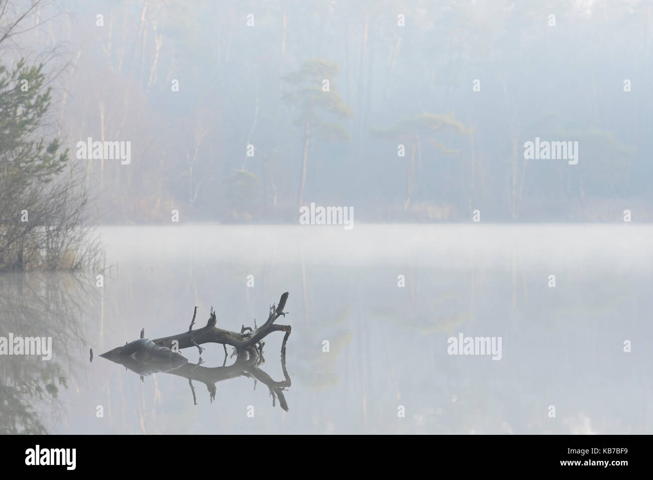 Mist over a lake, The Netherlands, Noord-Brabant Stock Photo