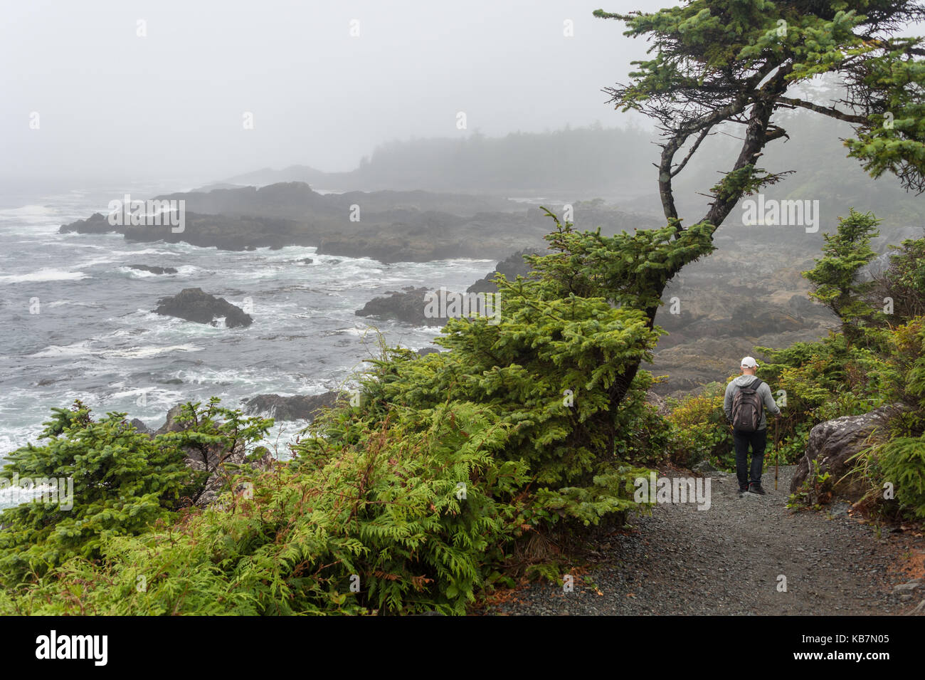 Ucluelet, British Columbia, Canada - 8 September 2017: West Pacific Trail near Ucluelet on a rainy day Stock Photo