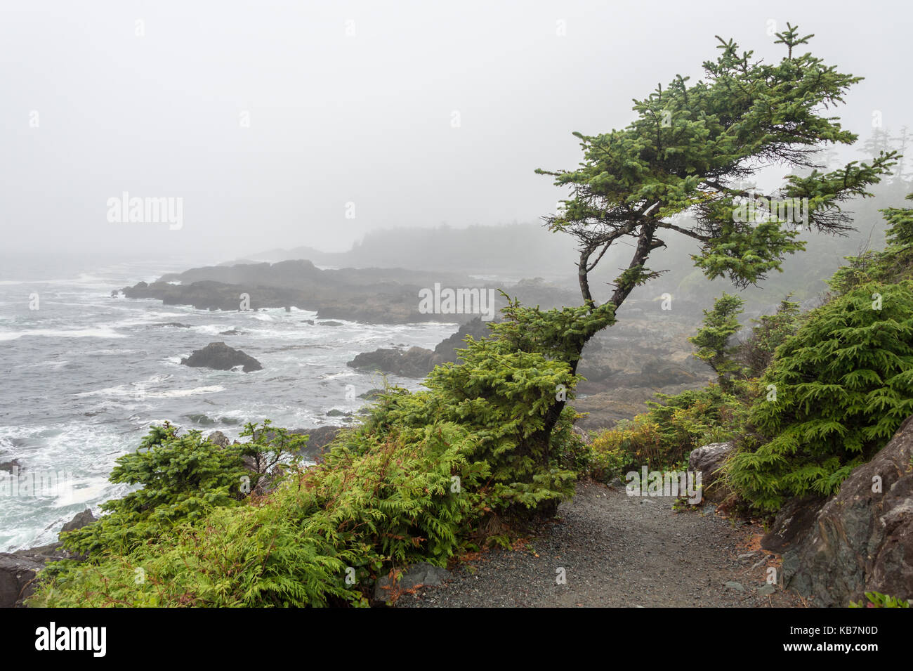 Ucluelet, British Columbia, Canada - 8 September 2017: West Pacific Trail near Ucluelet on a rainy day Stock Photo