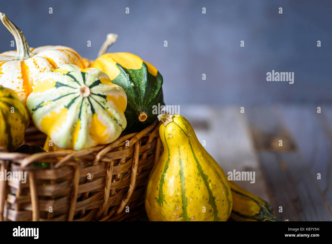 Closeup of decorative gourds and pumpkins in a basket on natural rustic wooden background Stock Photo