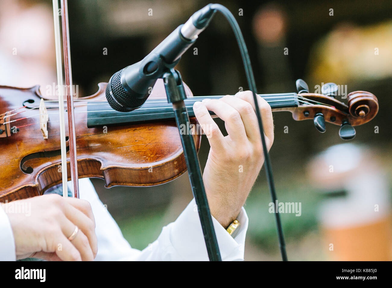 music, performance, orchestra concept. in delicate arms of caucasian ...