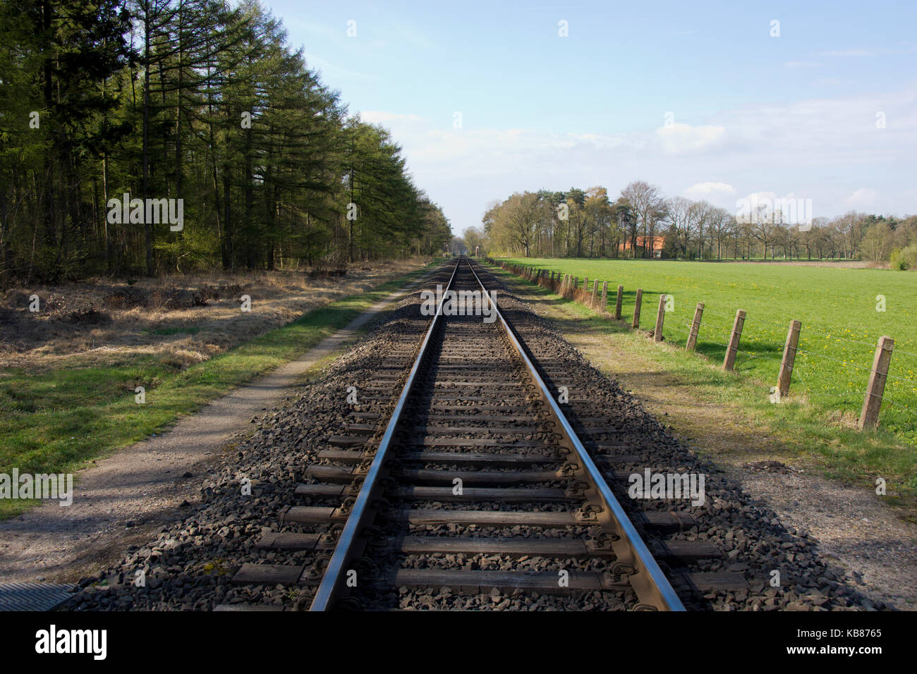 Single railroad in Dutch landscaape Stock Photo