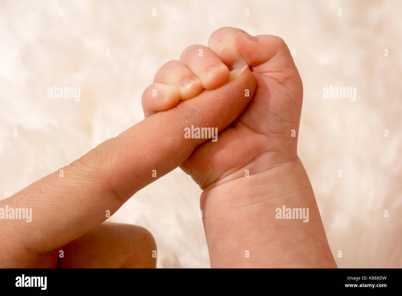 Baby hand grasping the finger of the mother Stock Photo