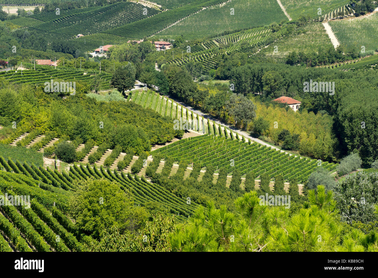 Vines vineyard slope hillside hires stock photography and images Alamy