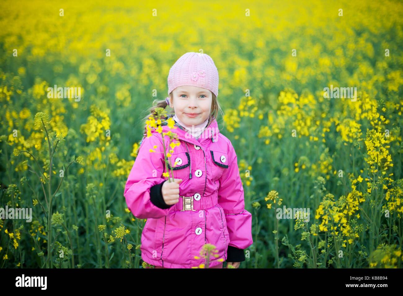 little girl with flower in field of yellow flowers Stock Photo - Alamy