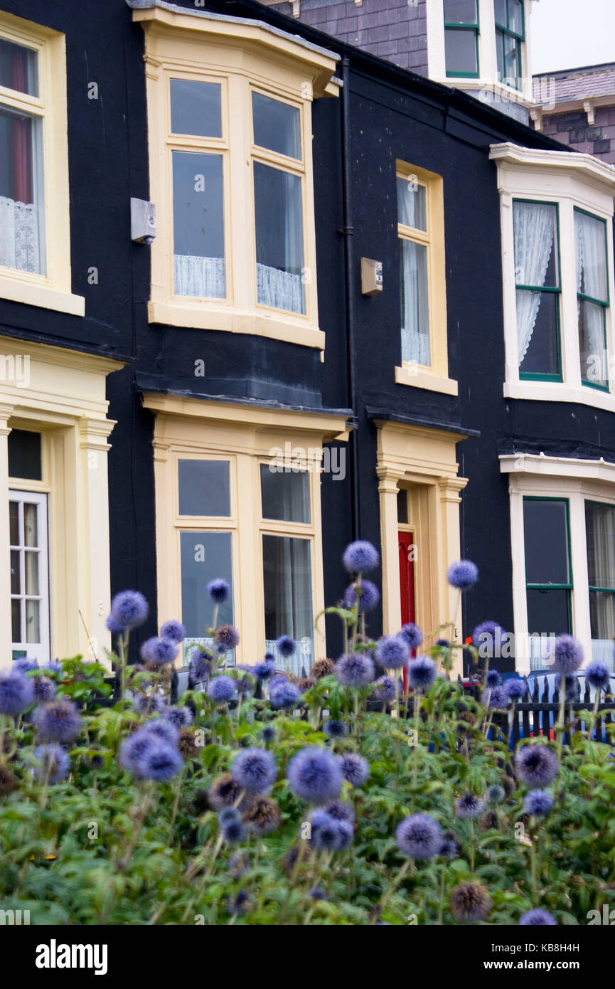 Hartlepool Headland England Victorian Houses Painted With Norwegian Tar