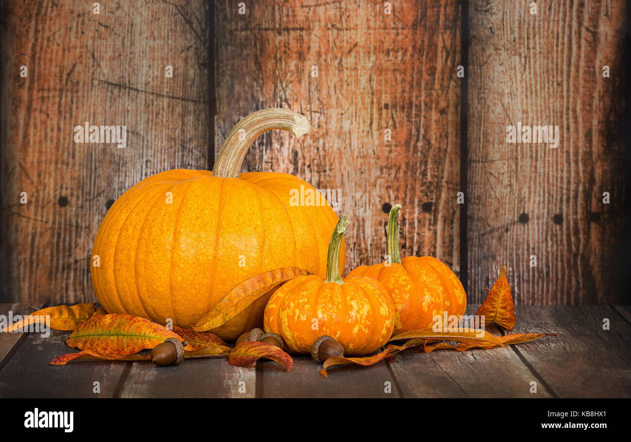 Sugar pie pumpkin with two mini pumpkins, autumn leaves, and acorns against rustic wooden background, copy space Stock Photo