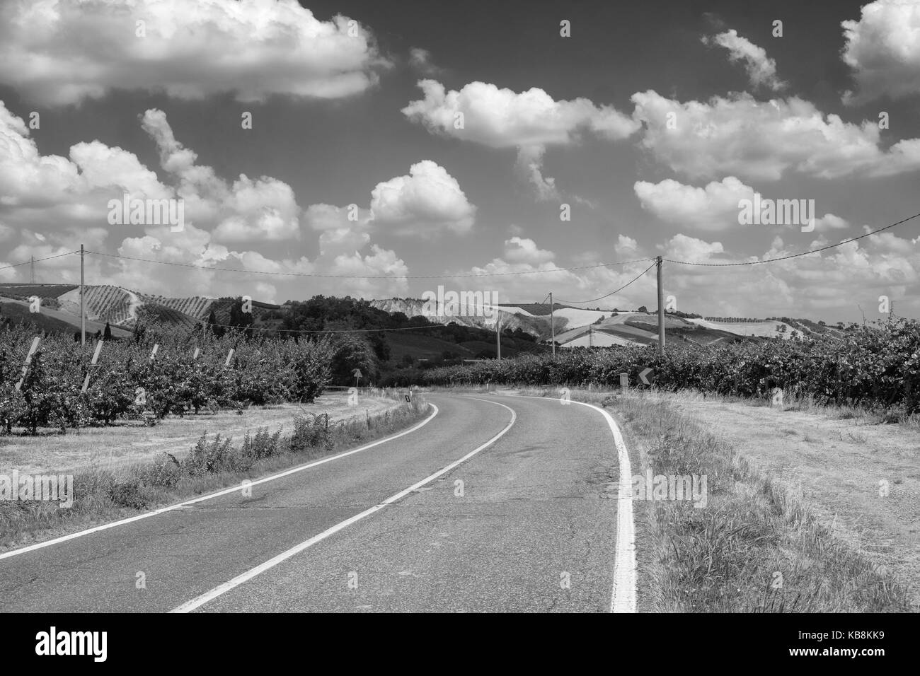 Rural landscape at summer between Modigliana and Faenza (Forli Cesena, Romagna, Italy). Black and white Stock Photo