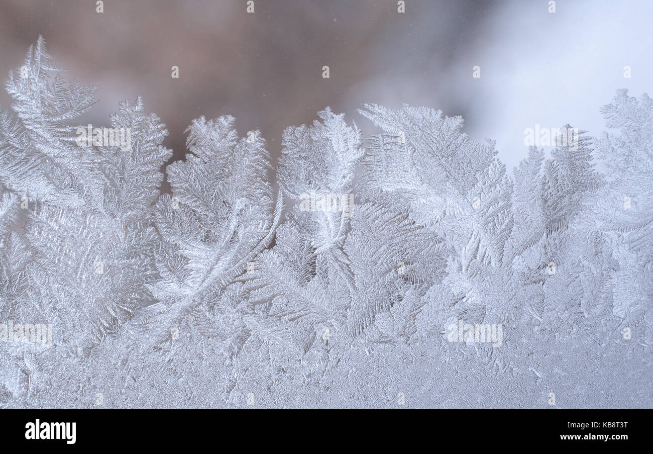Beautiful frosty pattern in form of leaves on winter window glass Stock ...