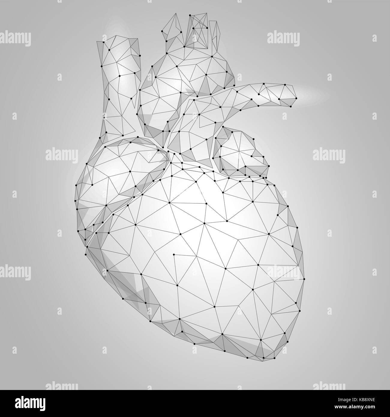 Human Heart Internal Organ Triangle Low Poly. Connected dots white gray neutral color technology 3d model medicine healthy body part vector illustration Stock Vector