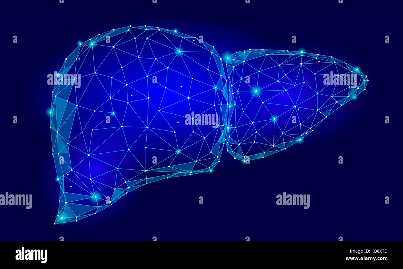 Human Liver Internal Organ Triangle Low Poly. Connected dots blue color technology 3d model medicine healthy body part vector illustration Stock Vector