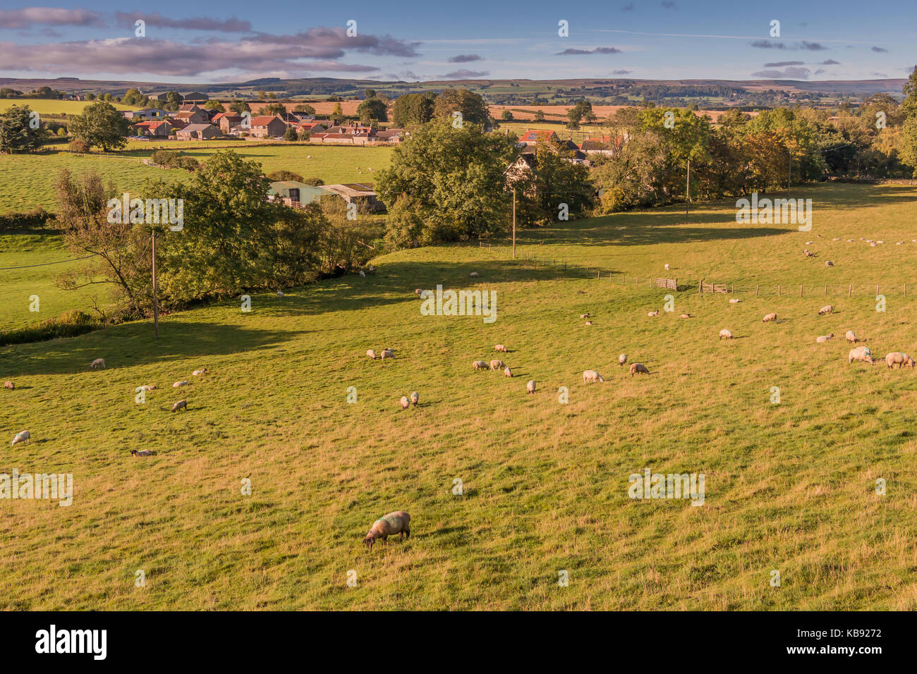Teesdale landscape, the rural village of Hutton Magna, Lower Teesdale