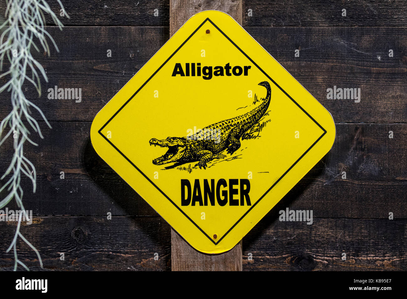 Yellow alligator warning sign Stock Photo