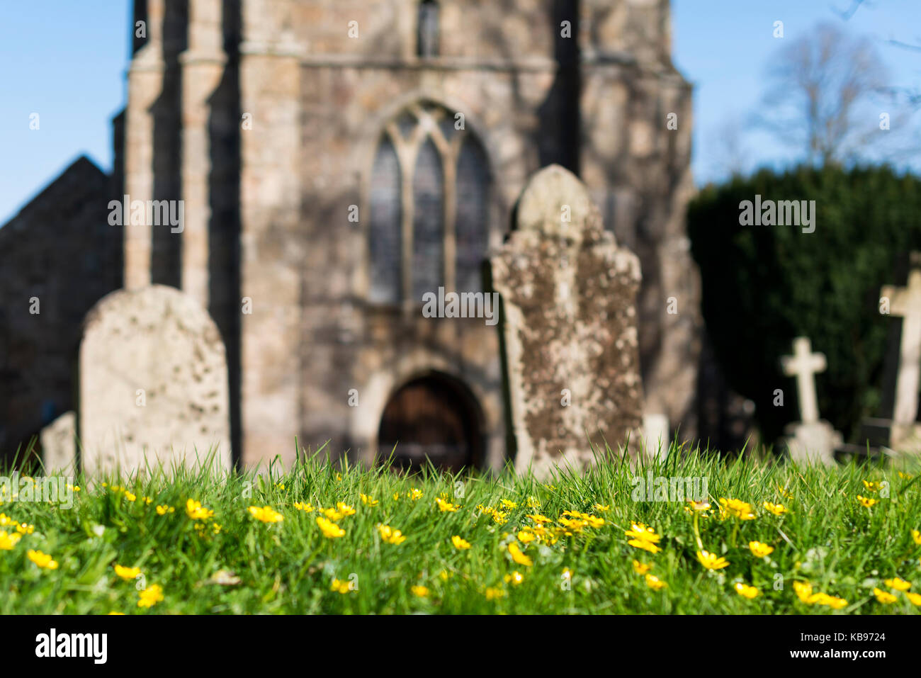 Out of focus Norman church in Chagford village, with doorway and graveyard with green grass and yellow spring flowers in foreground Stock Photo