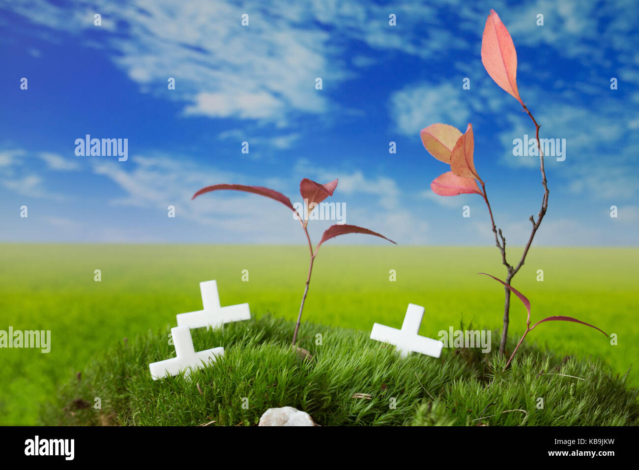 Halloween graves on the fantasy green meadow with cloudy sky Stock Photo