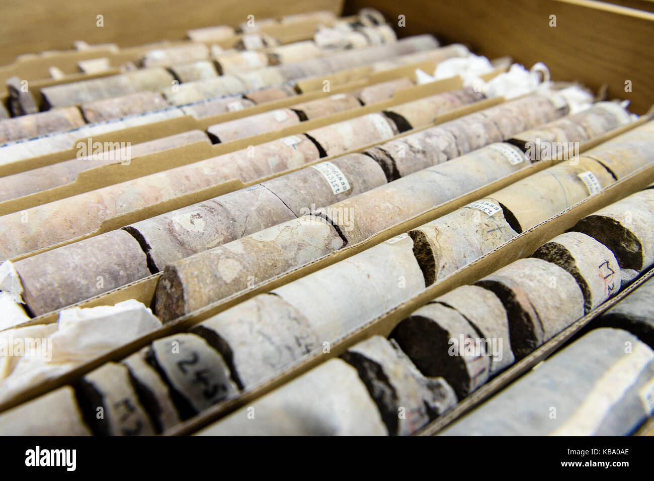 Rock core samples at the Geological Survey of Northern Ireland. Stock Photo