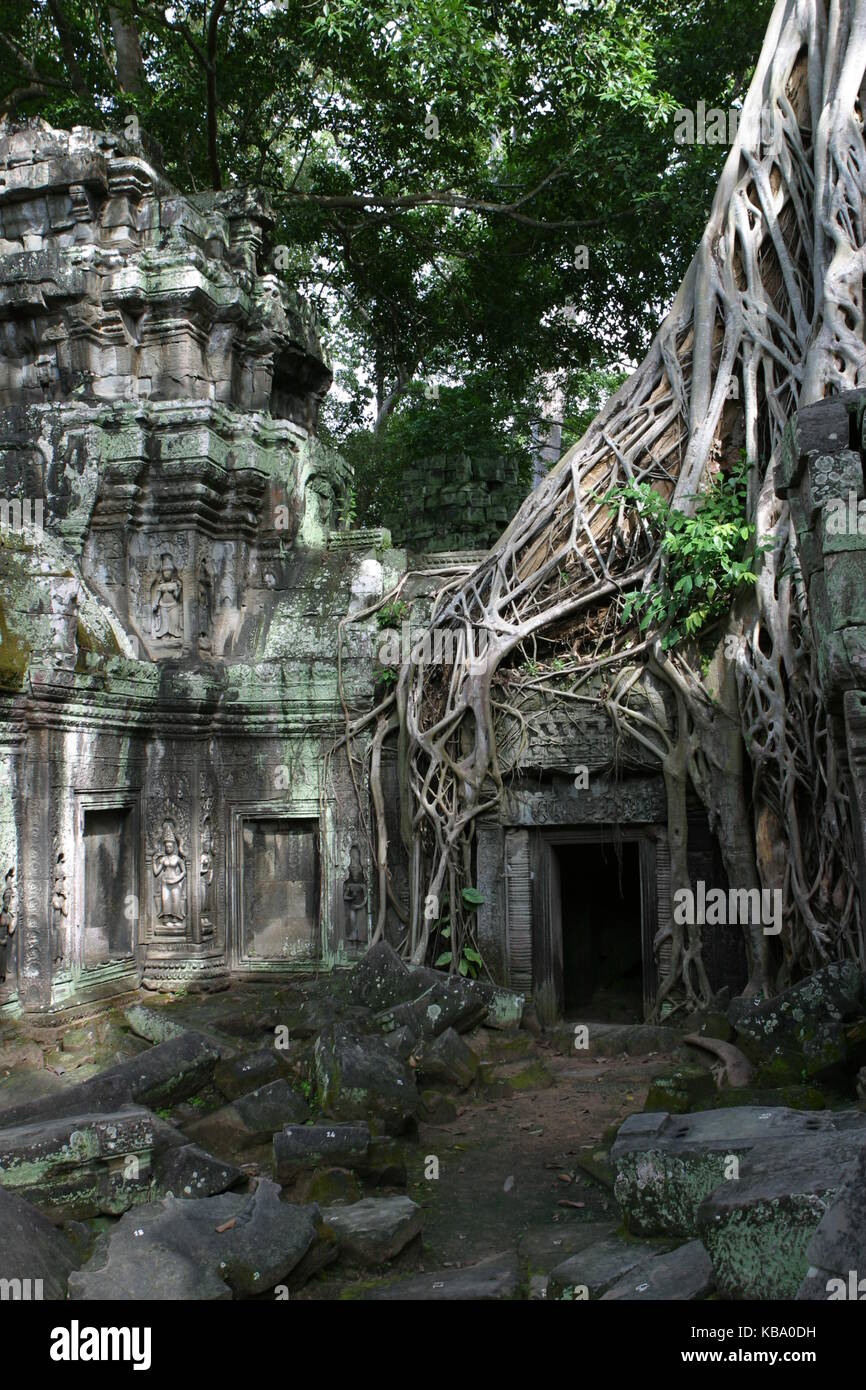 Kamboscha Cambidia - Preah Khan Tempel - Angkor Wat Stock Photo