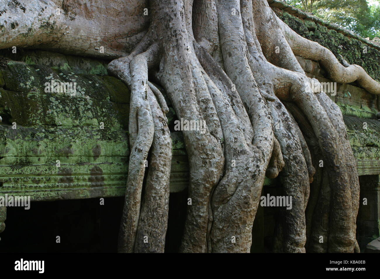 Kamboscha - cambidia - Preah Khan Tempel - angkor wat Stock Photo