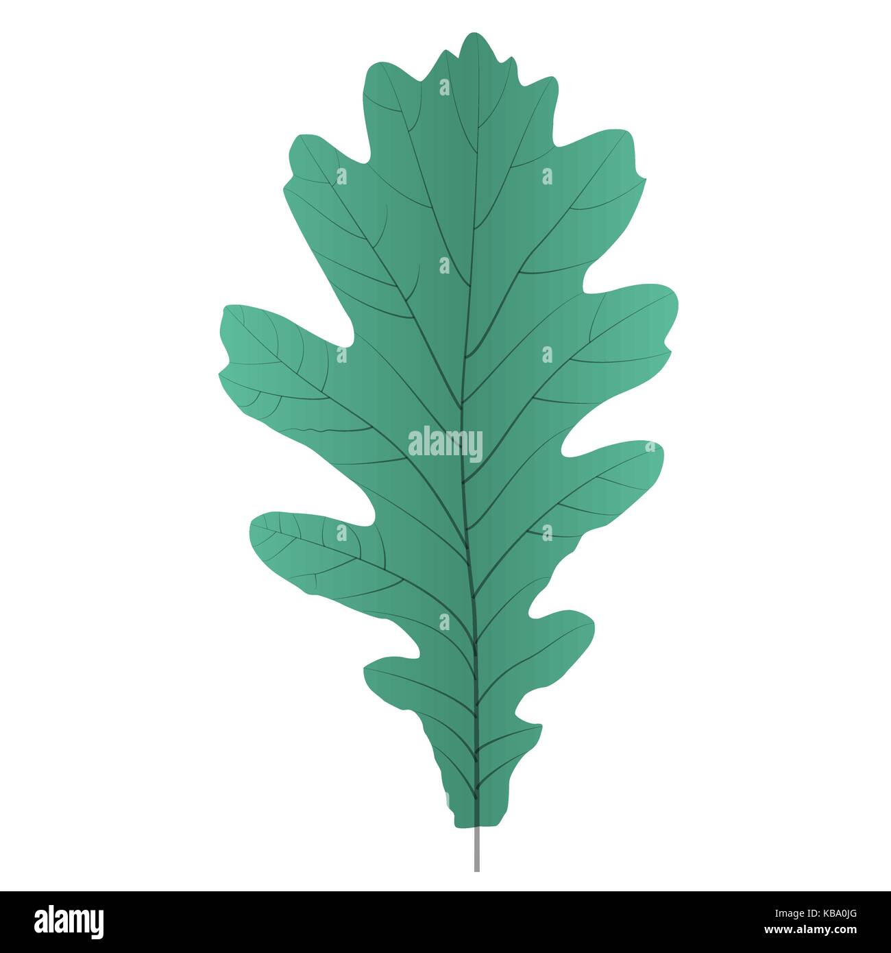 White oak background Stock Vector Images - Alamy