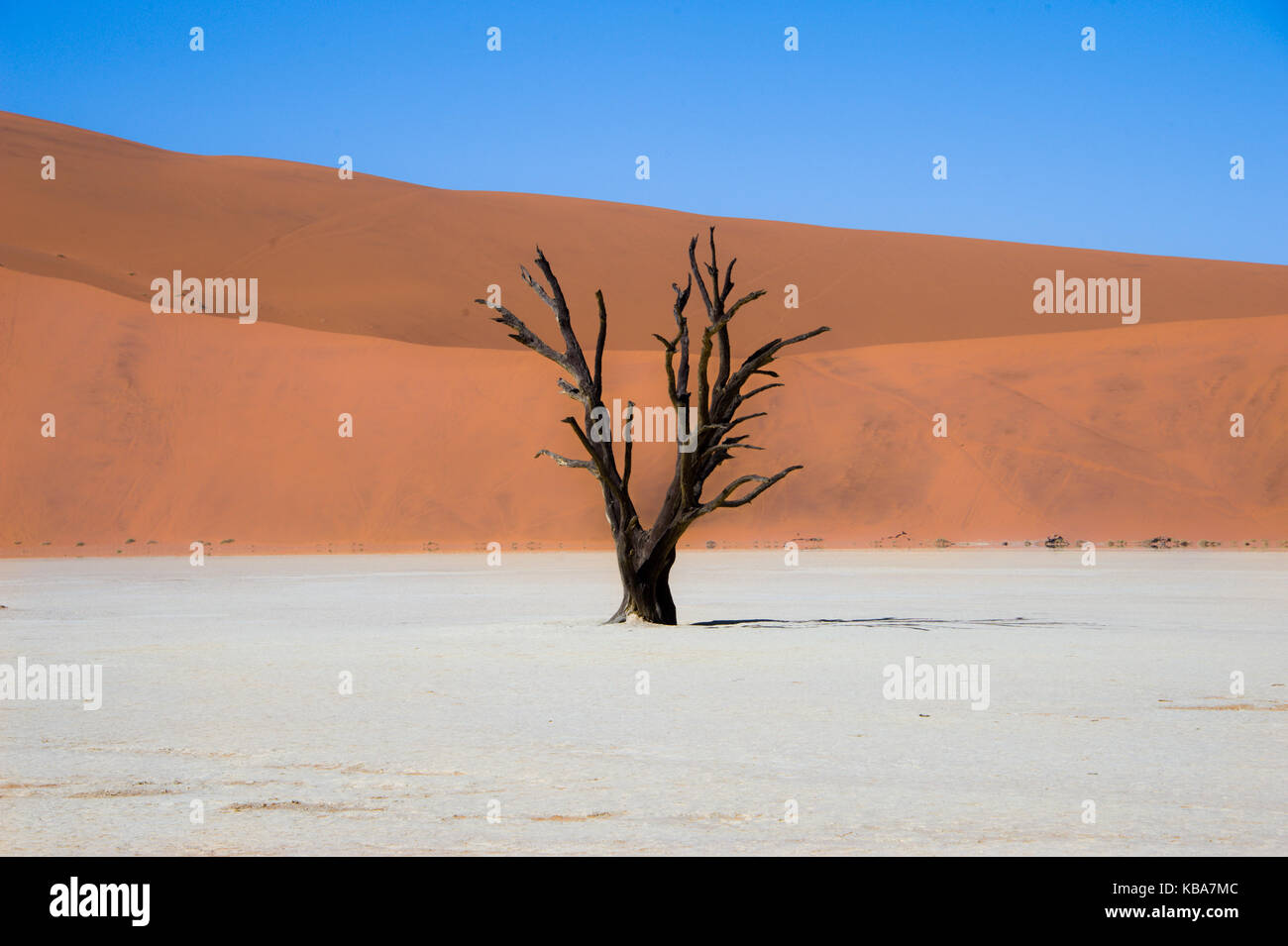 Deadvlei mist hi-res stock photography and images - Alamy