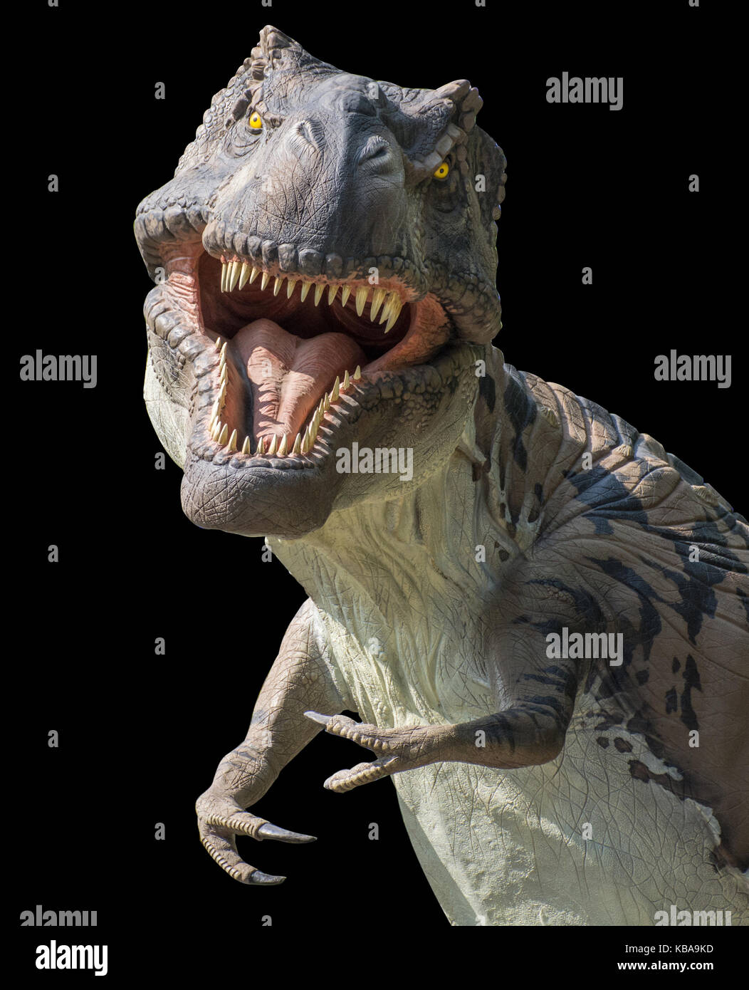 Dinosaur bones background hi-res stock photography and images - Alamy