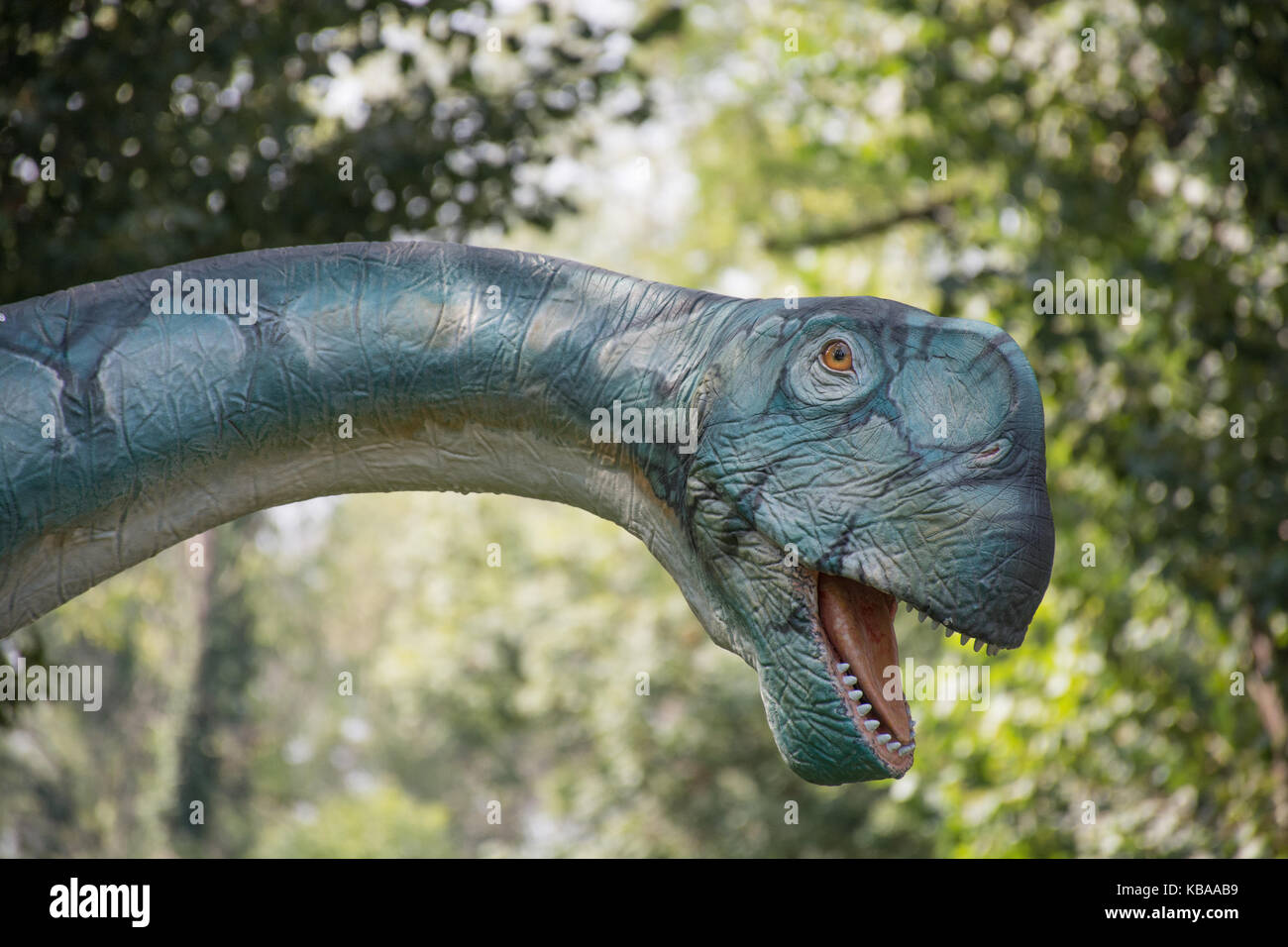 Brontosaurus Stock Photo: 161882205 - Alamy