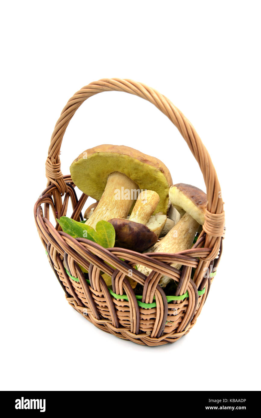 penny bun mushrooms in a basket on white isolated background Stock Photo