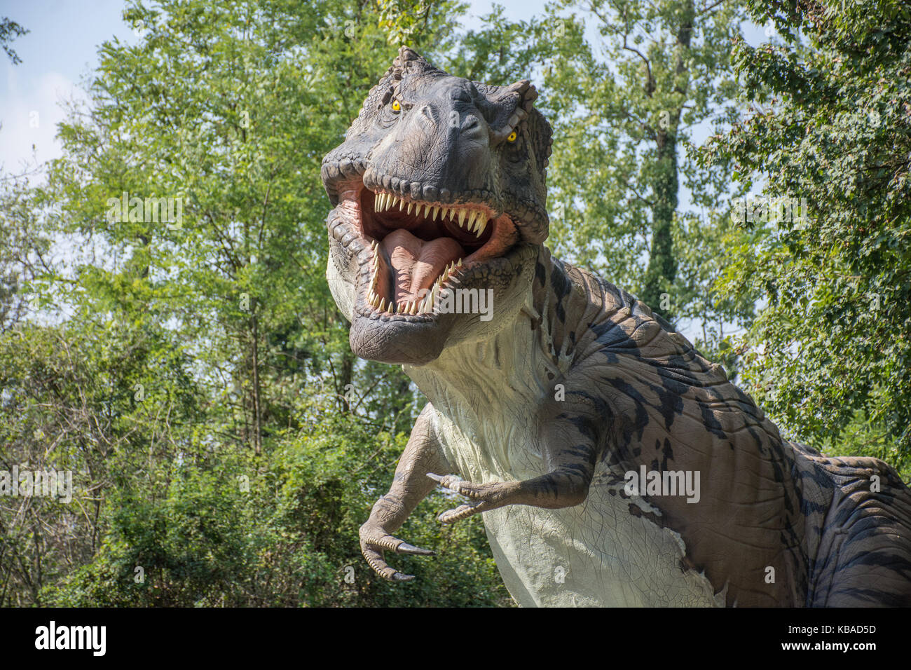 Tyrannosaurus rex into wild nature Stock Photo