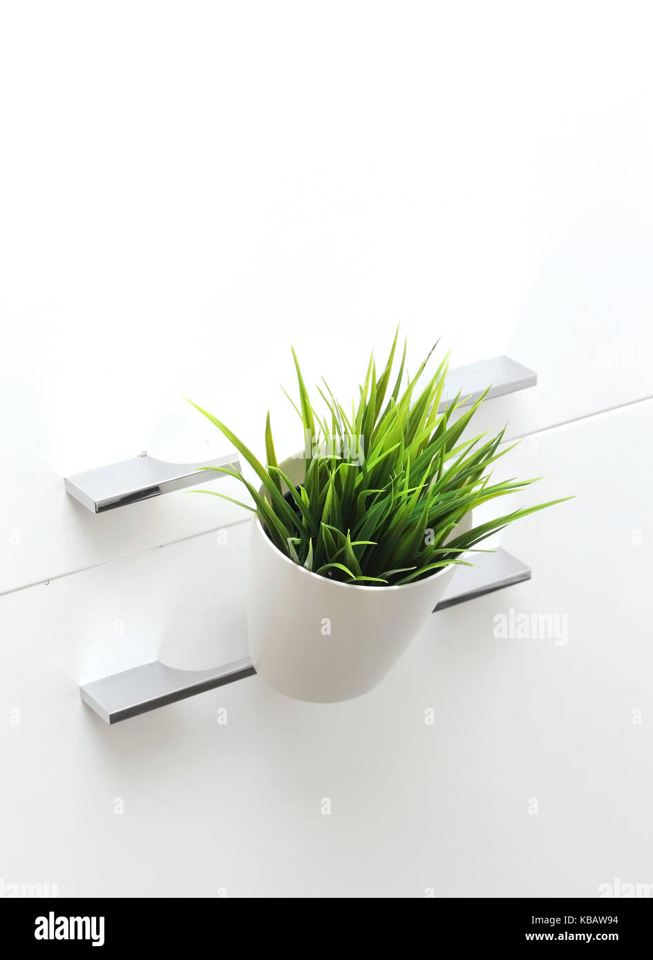 Decorative green plant in small flower pot Stock Photo - Alamy