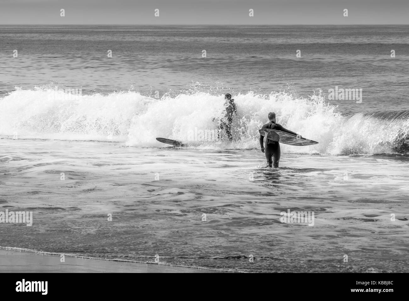 Longboard surfing in the Pacific Ocean off Cape Kiwanda, Pacific City