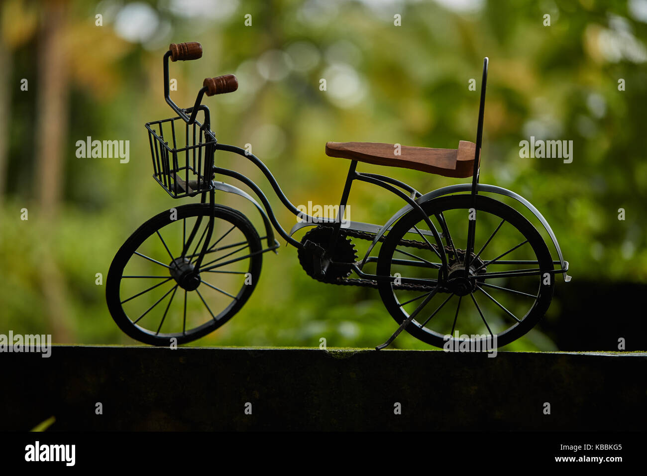 bicycle toy models